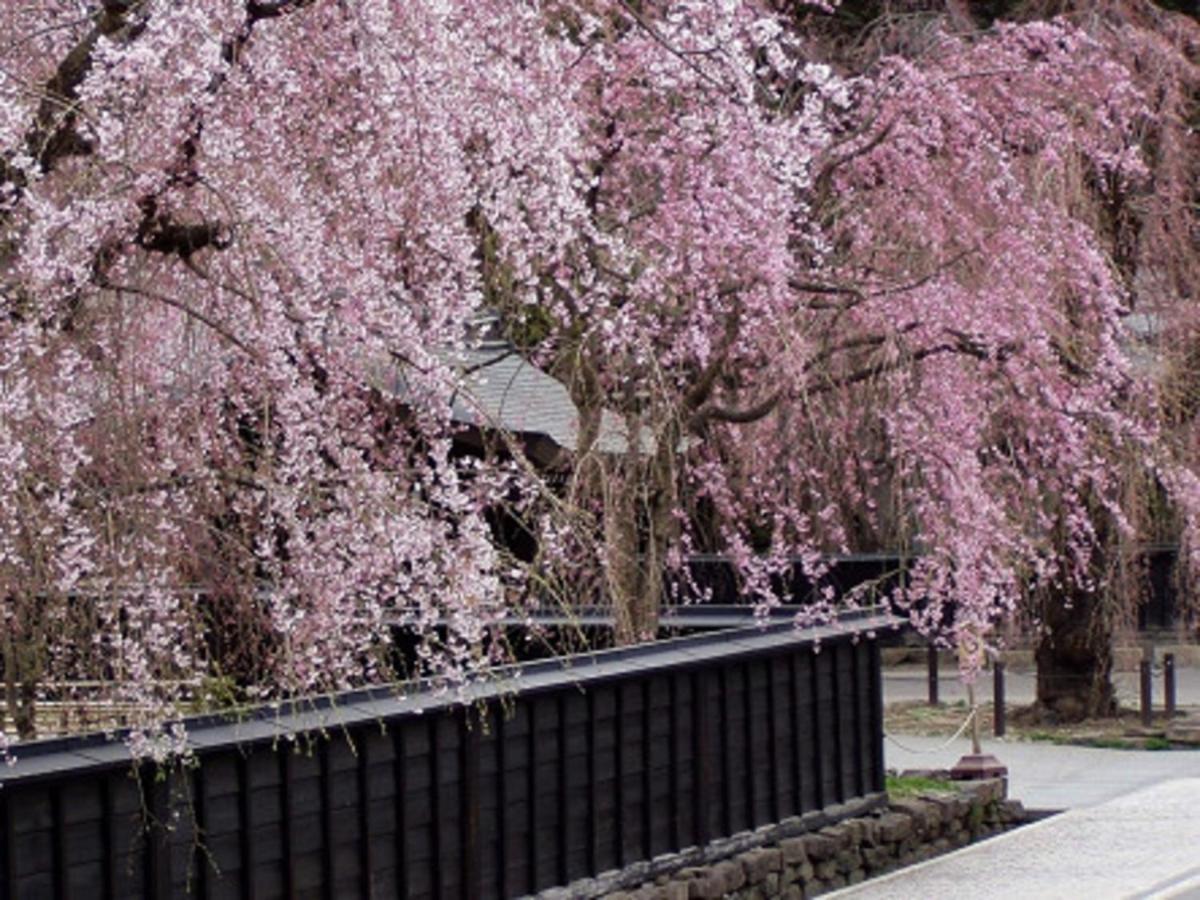 Tamachi Bukeyashiki Hotel - Vacation Stay 20163V Daisen  Exterior photo